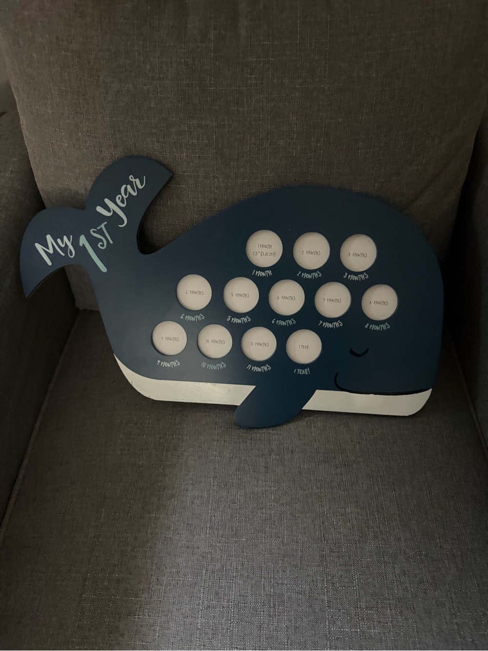 Whale 'My 1st Year' Monthly Photo Frame - Navy & White